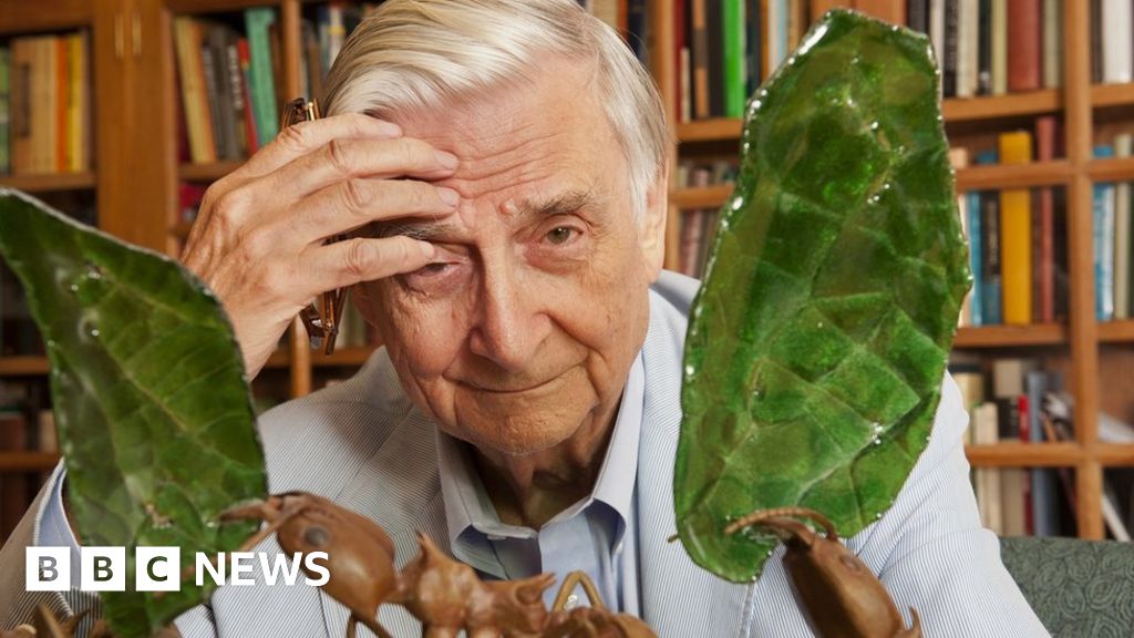 Leading American naturalist EO Wilson, dubbed 'Darwin's heir', dies at 92