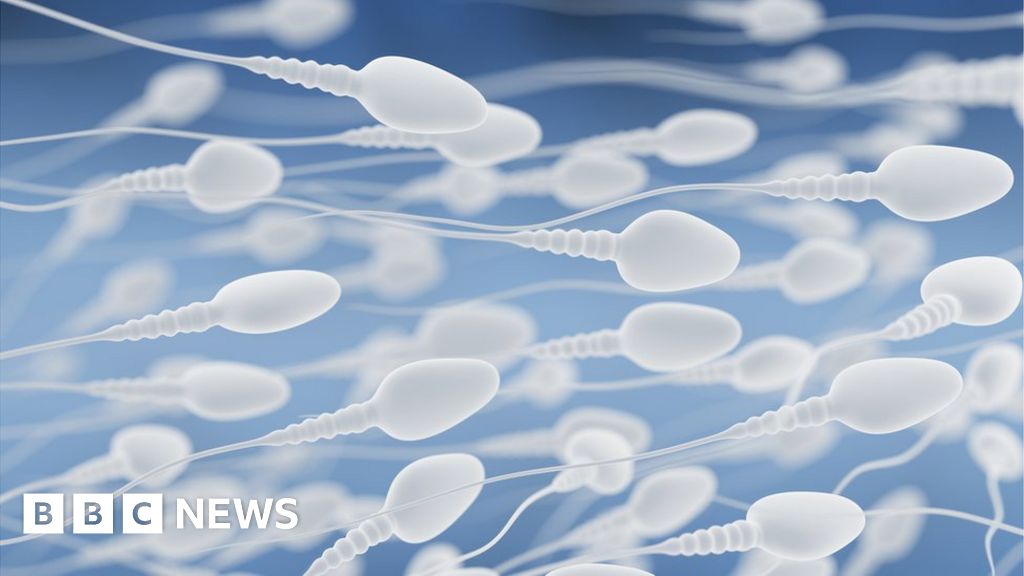 Exercise Boosts Mens Sperm Count Bbc News 