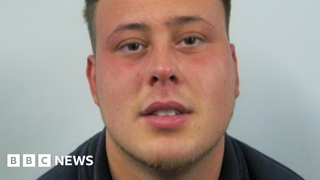 Franky Mills jailed for shooting cats with air rifle BBC News