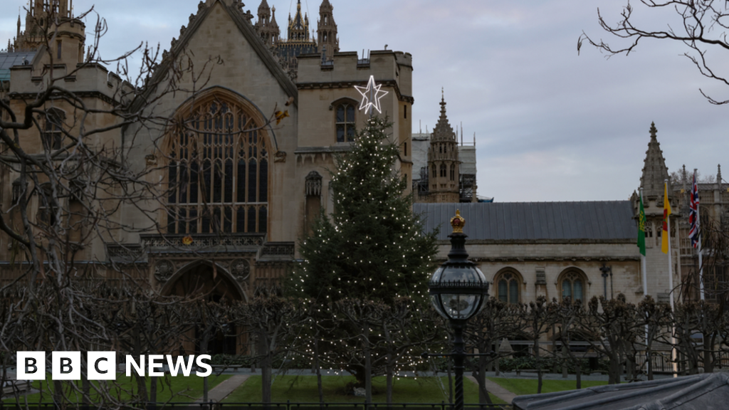Watchdog apologises after MPs’ Christmas expenses row