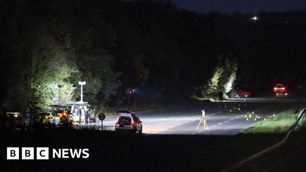 Two held after Horsham 'stolen hitandrun' death BBC News