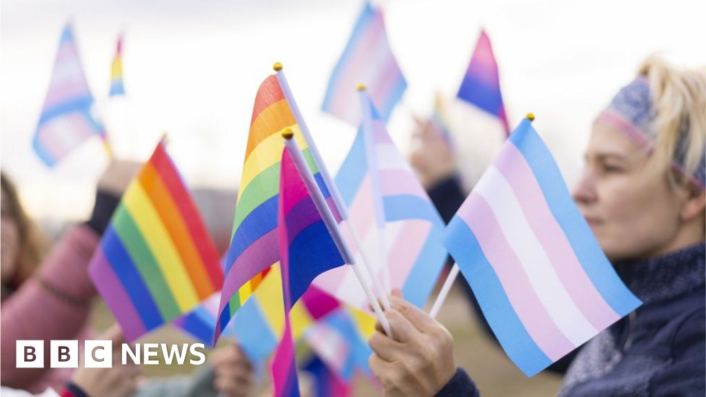 Rainbow and trans flags
