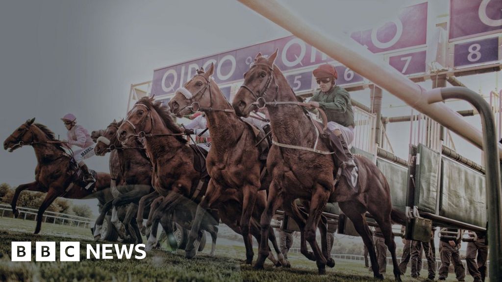 Newmarket celebrates 350 years of horse racing BBC News