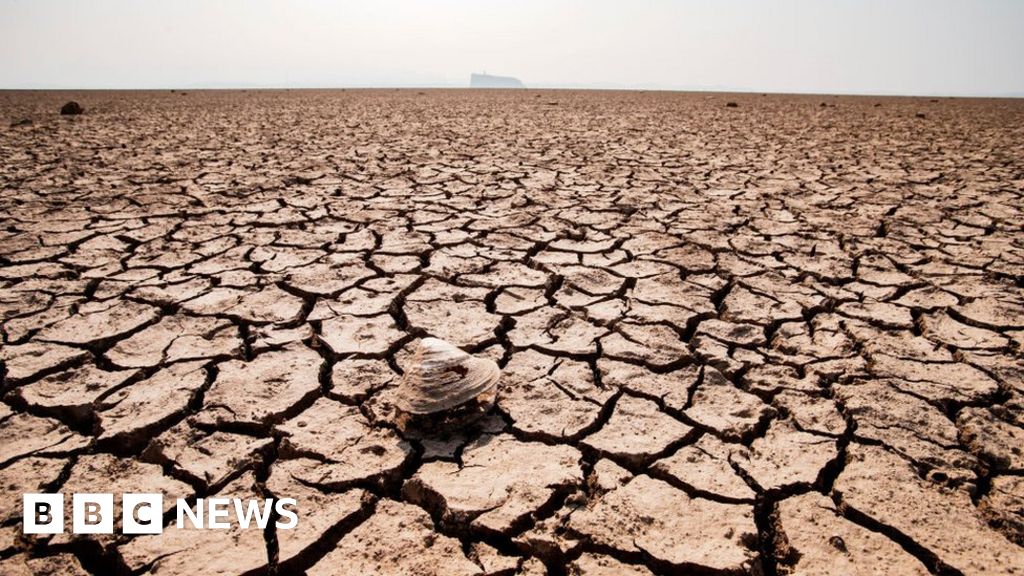 Met Office forecasts 2023 will be hotter than 2022