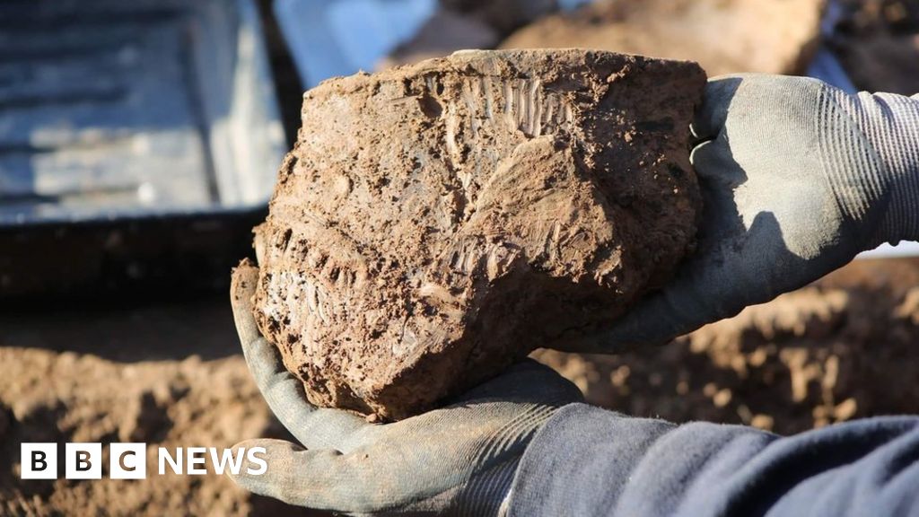 Cardiff: Archaeological Dig Uncovers Earliest House In City - BBC News