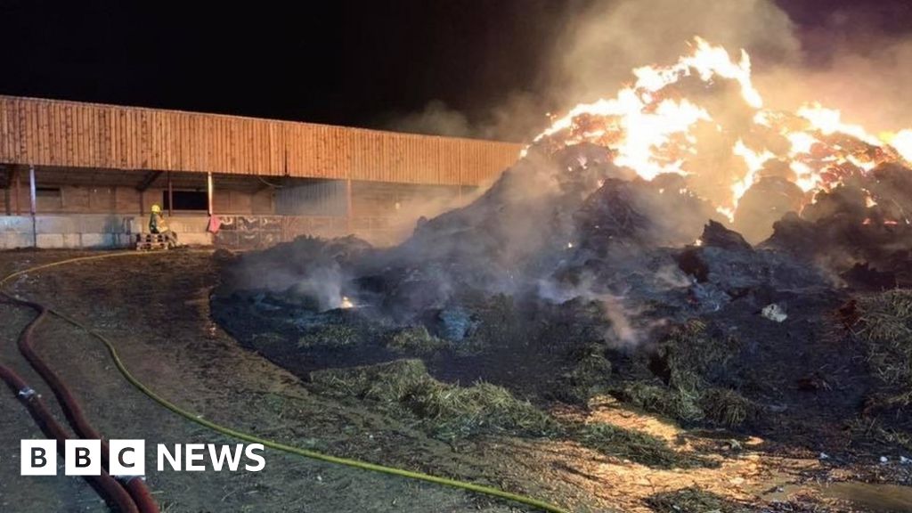 More than 1,000 pigs rescued from Oxfordshire farm fire - BBC News