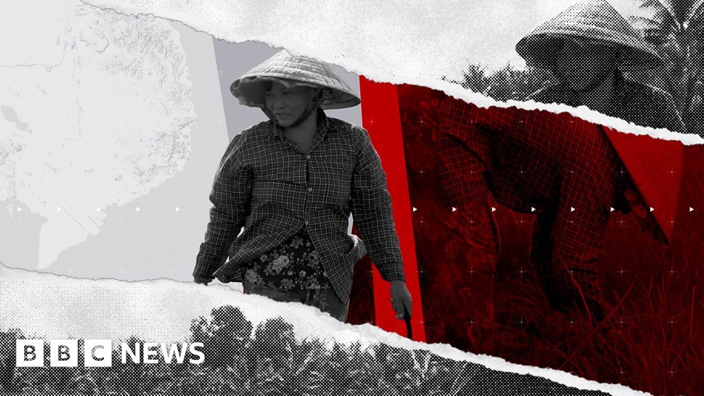 The Displaced: Climate change in Vietnam 'destroying family life' - BBC News