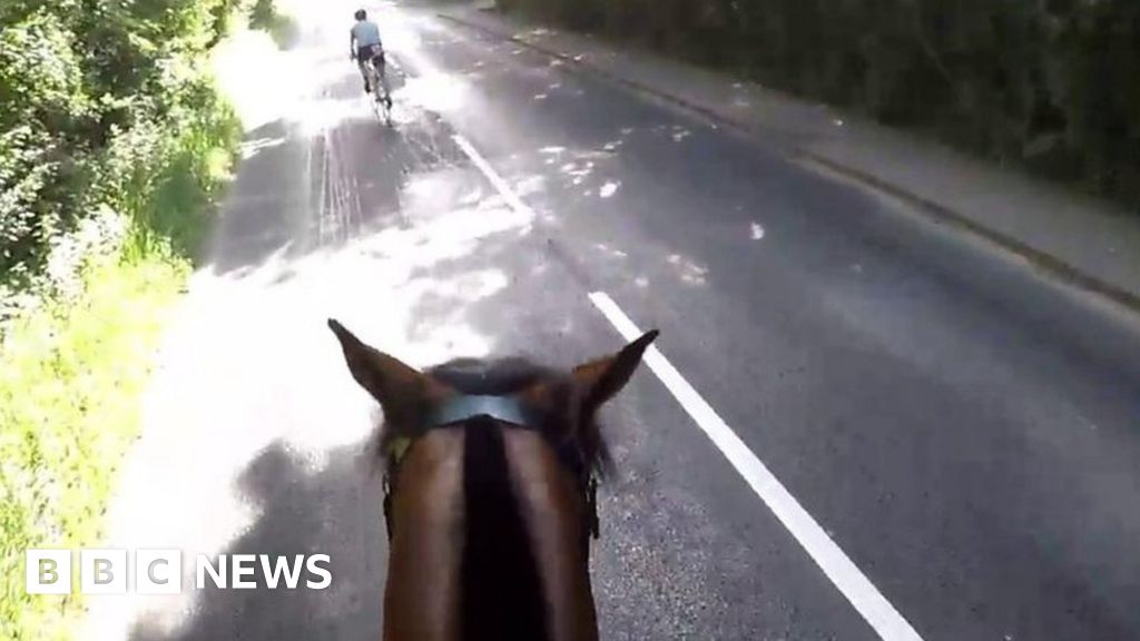 Cyclist fined for hitting horse in Windsor Triathlon BBC News
