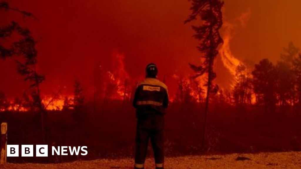 Climate change: 'Staggering' rate of global tree losses from fires