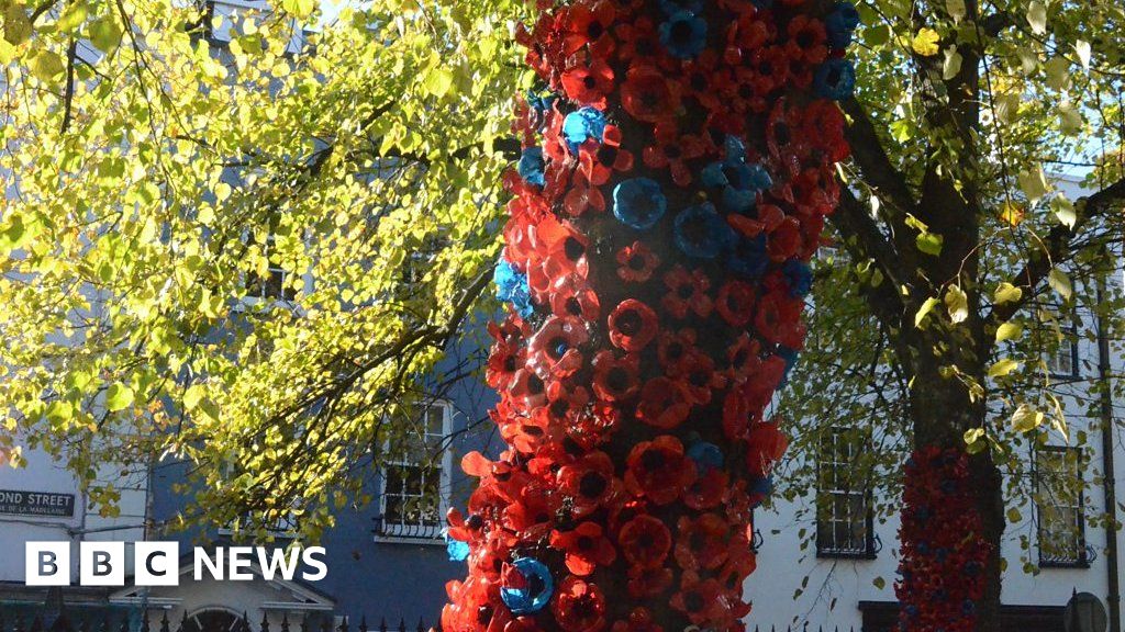 Remembrance poppies made from plastic bottles in Jersey BBC News