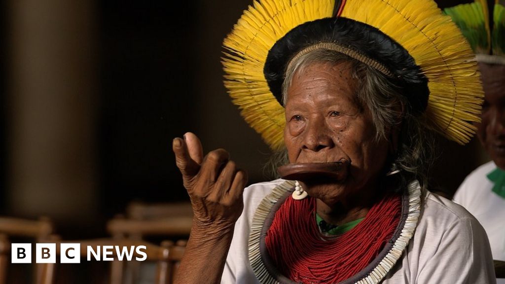 Amazon rainforest: The 90-year-old trying to stop destruction