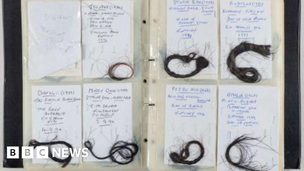 Lockets of hair from 850 racehorses fetch thousands at auction