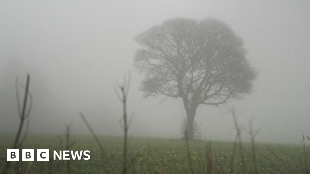 bbc.co.uk - Nathan Turvey - Upper Cumberworth villagers fear loss of tree if homes built