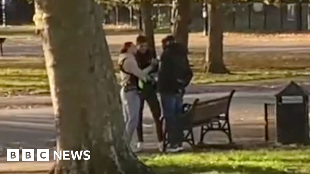 Moment migrant sex offender arrested in London park
