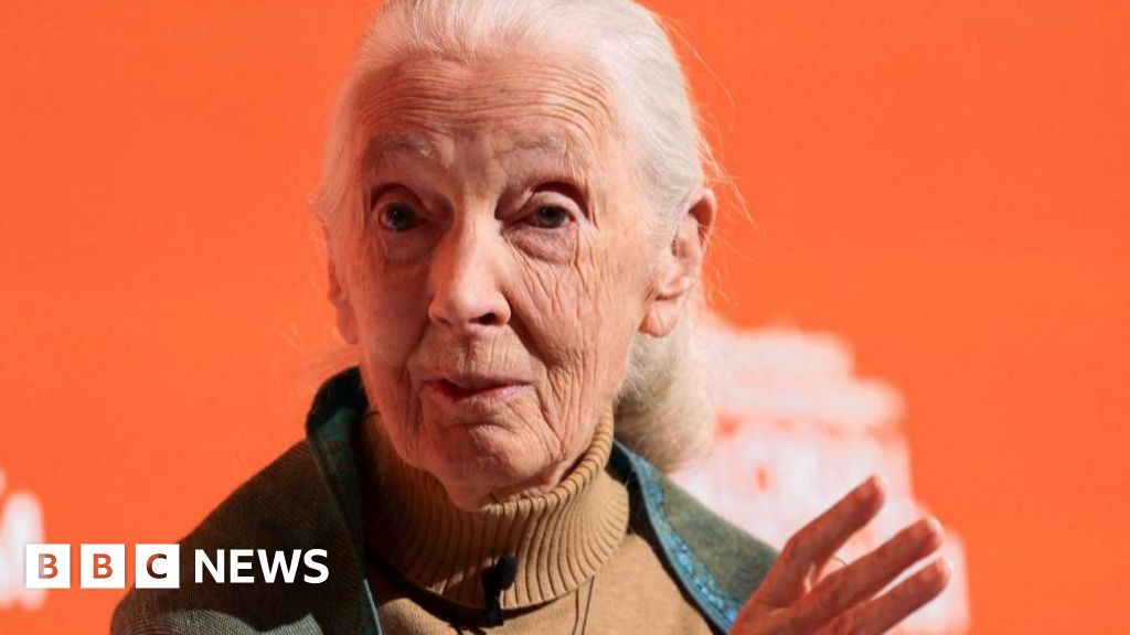 Conservationist Dame Jane Goodall dies aged 91