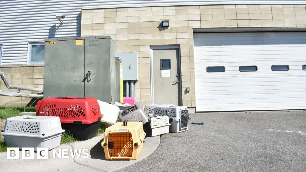 Animal shelter workers hospitalised after FBI uses furnace to burn seized meth