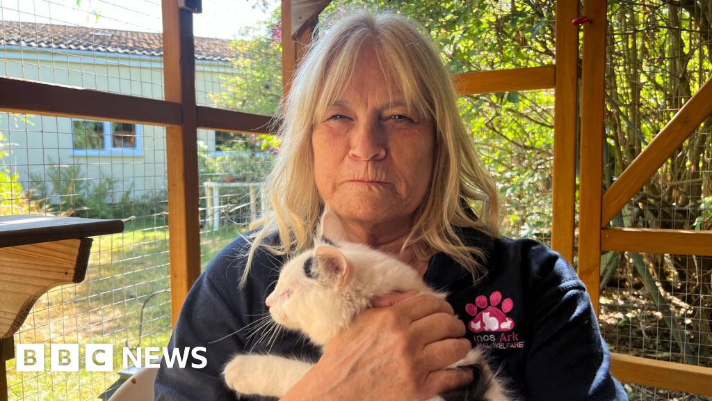Neuter your pets, says Lincs Ark charity hit by cat 'crisis'