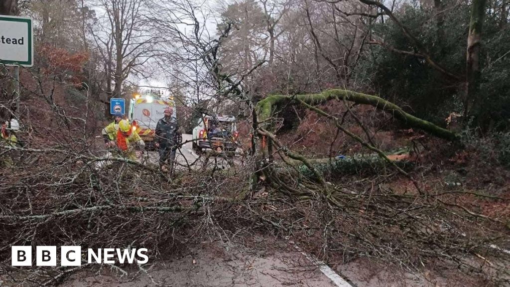 Damage and disruption as Storm Darragh hits South