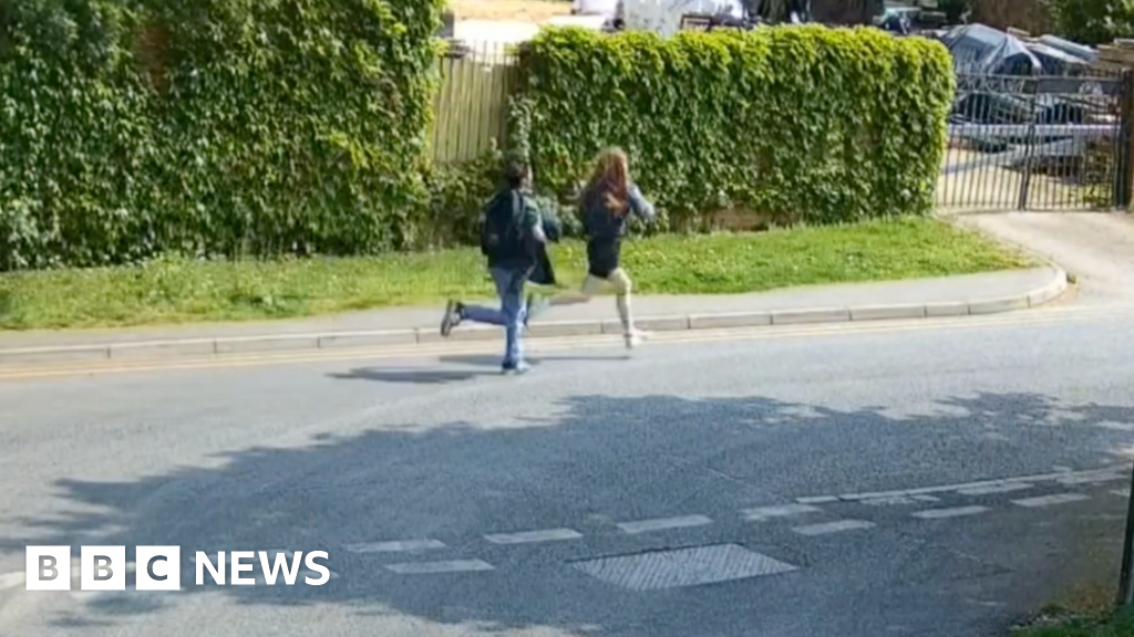 Police hunt for teens after kittens found 'mutilated'