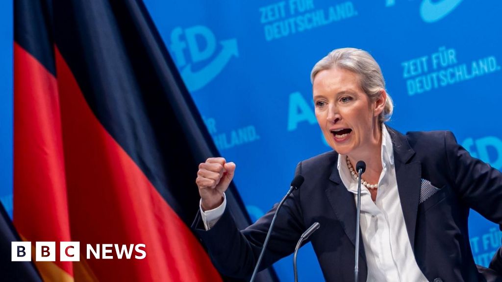 AfD embraces mass deportation of migrants as German election nears