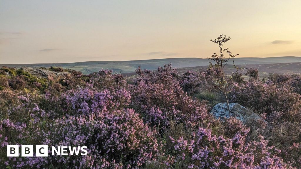 Why is Bradford on Conde Nast's seven wonders list?