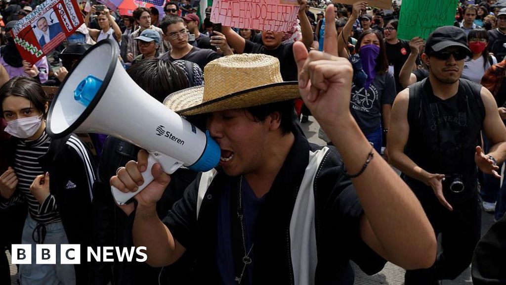 'Gringos out!': Mexicans protest against tourists and gentrification