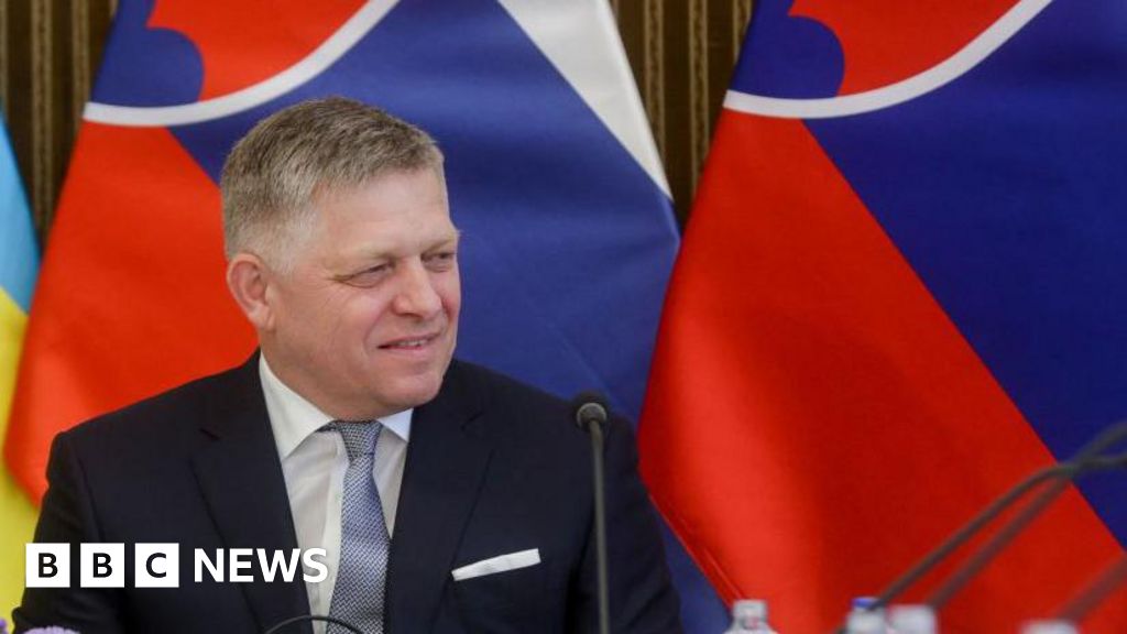 Attacking Slovak Prime Minister Robert Fico ‘may not have been a lone wolf’
