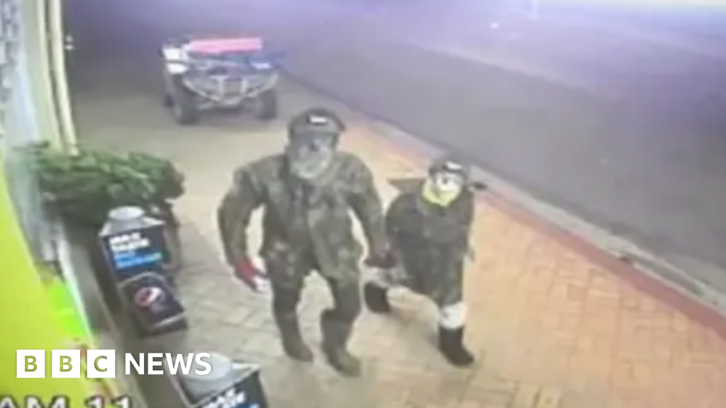 Family of NZ fugitive on the run with children pleads for return