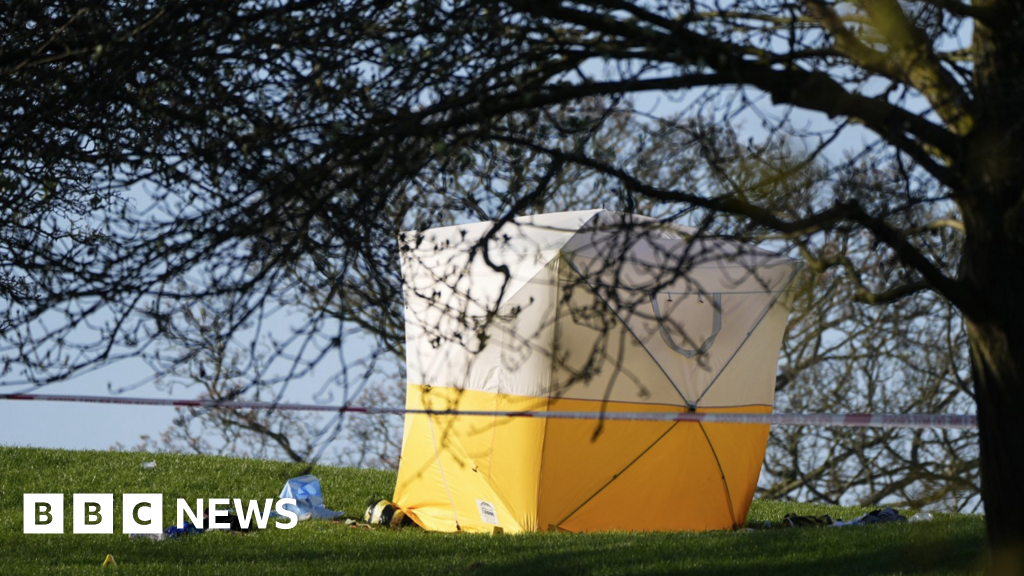 Man, 21, fatally stabbed at Primrose Hill