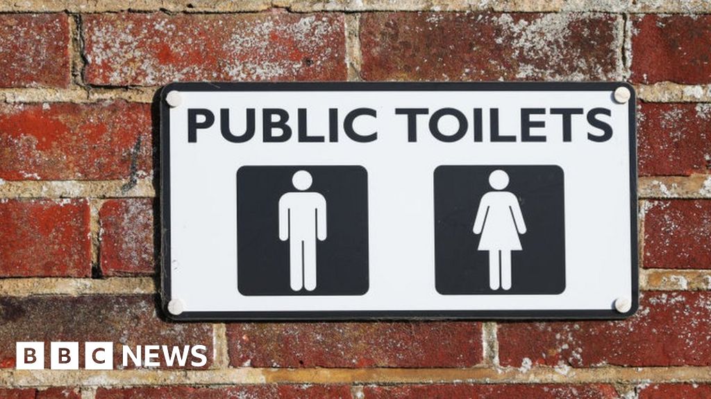 The ex-public toilet that could become a Denbighshire home 