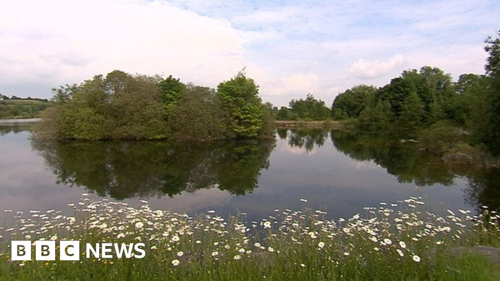 Two teenage boys drown in County Clare quarry BBC News