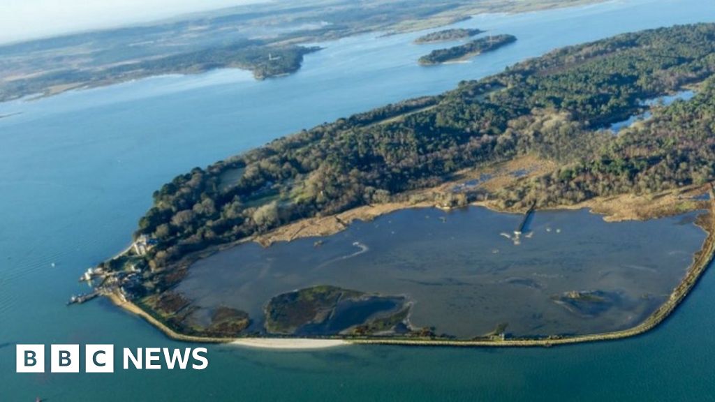 Brownsea Island reopens after stormy weather closure BBC News