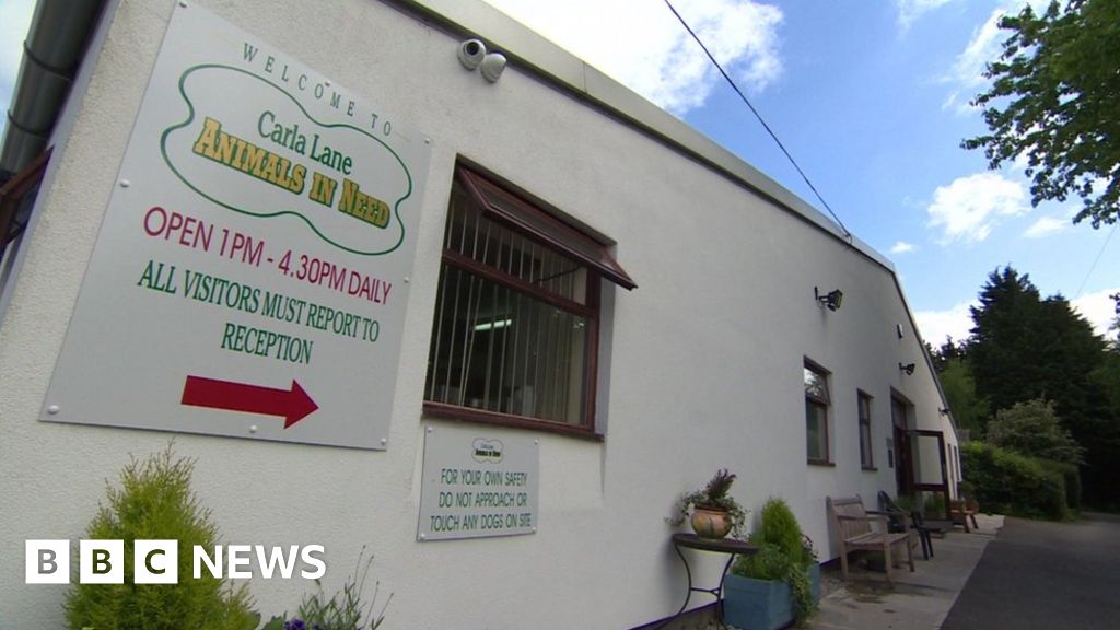 Carla lane animal sales rescue centre