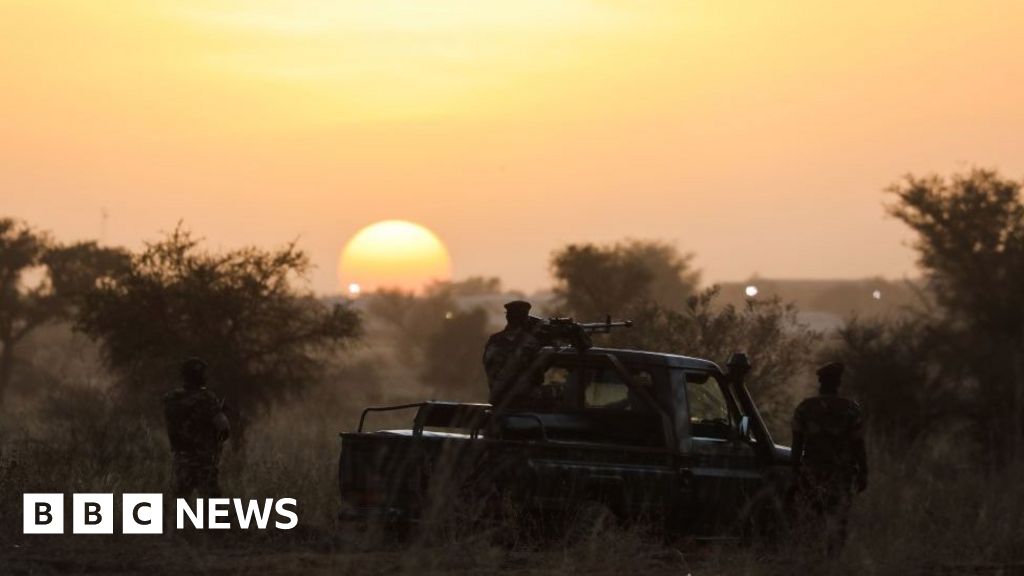 Niger attacks: More than 50 killed in attacks near Malian border Niger attacks: More than 50 killed in attacks near Malian border