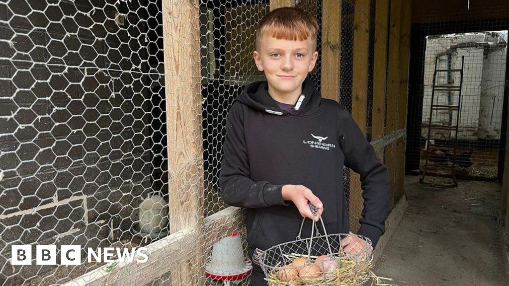 Worcestershire boy, 13, wins young farmer award for egg business