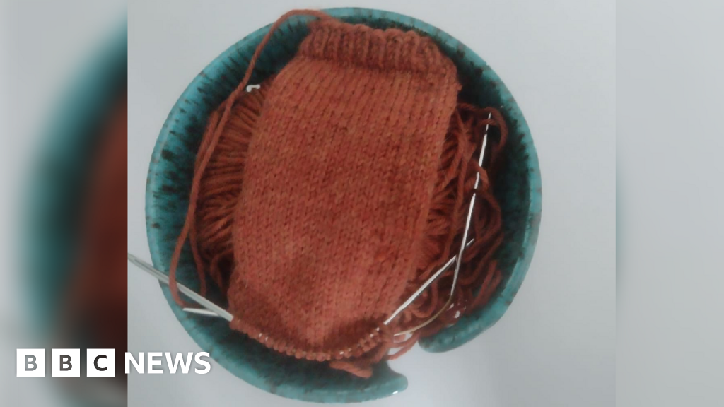 Zoom: Monmouthshire councillor rebuked over knitting in meeting