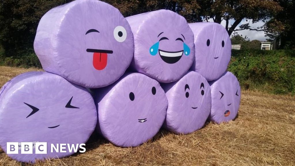 Emoji straw bales on Isle of Man made 'to make people smile' BBC News