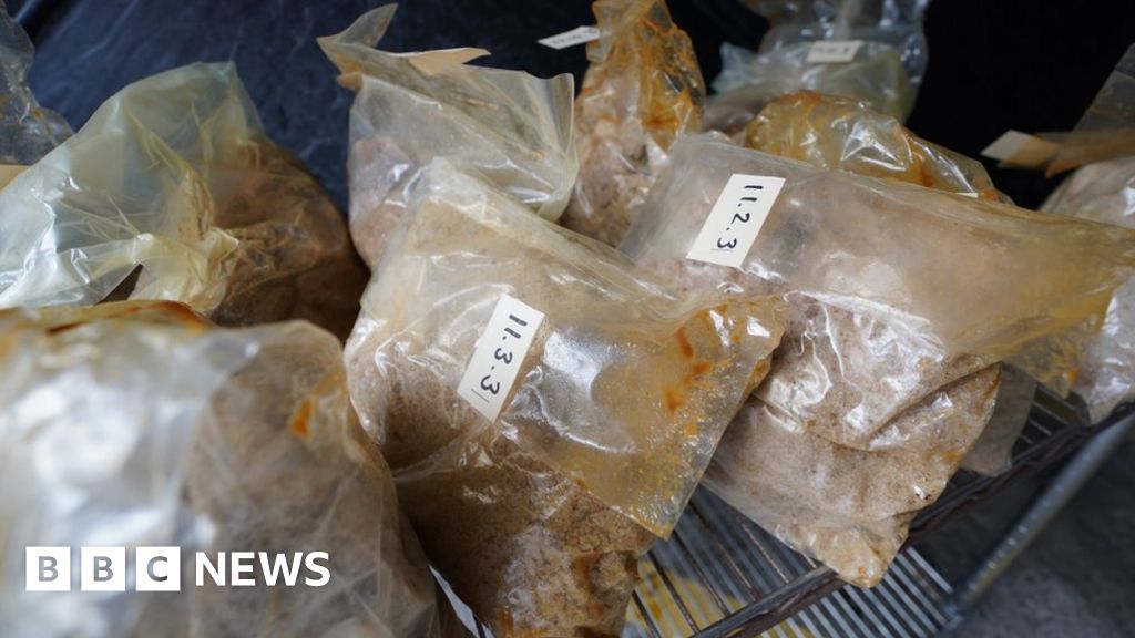 Australia drug bust: Four UK men arrested over huge MDMA haul