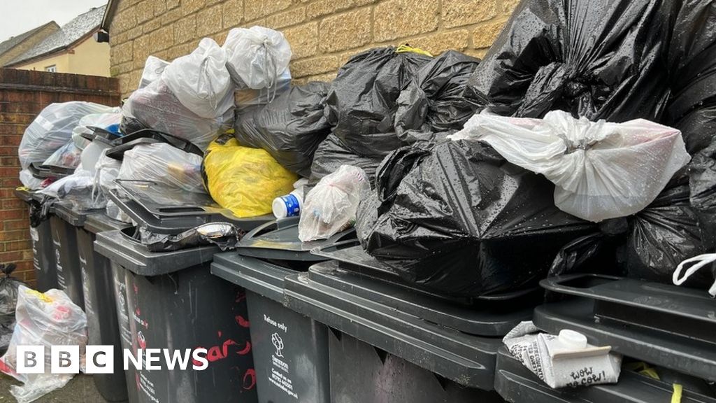Swindon uncollected bins 'public health issue', says MP BBC News