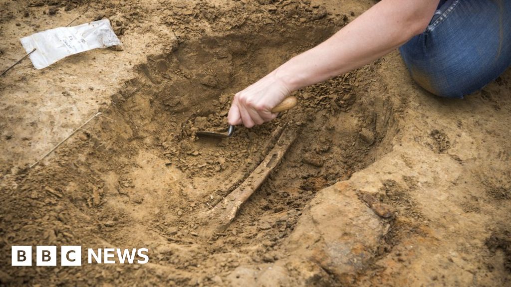 Battle of Waterloo: Excavation unearths amputated limbs