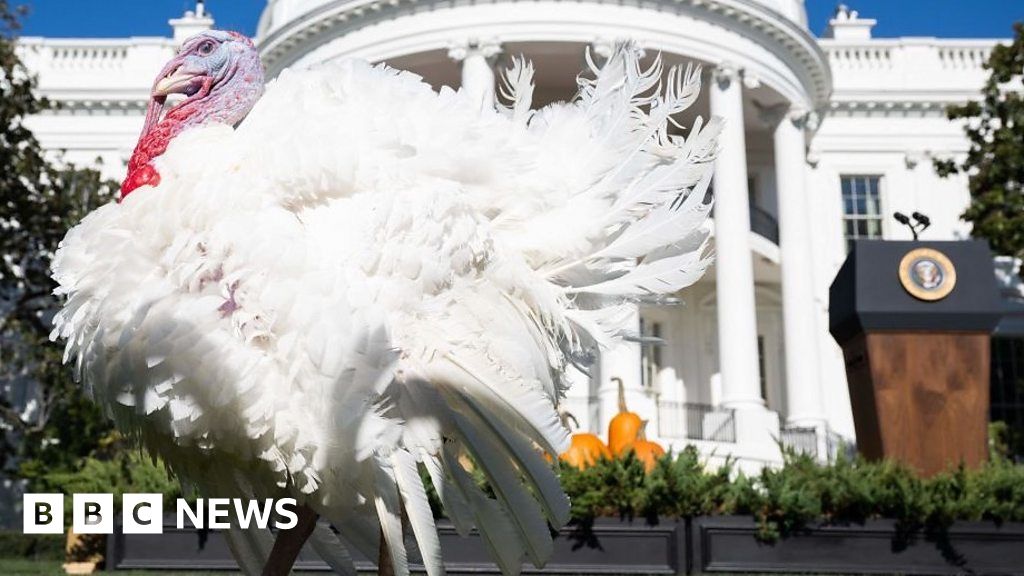 'No fowl play' as Biden pardons Thanksgiving turkeys