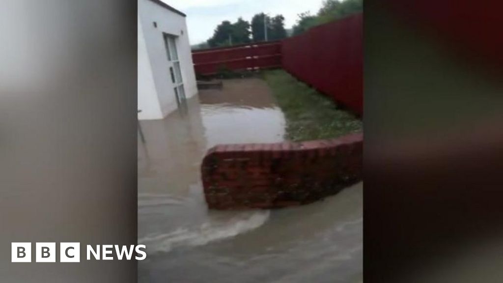 bbc news welshpool