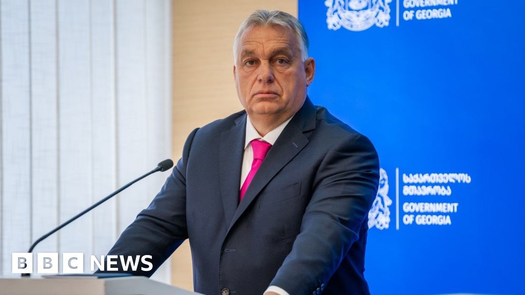 Orban swipes at EU and says disputed Georgian vote was fair