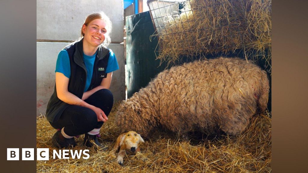 bbc.co.uk - Eleanor Lawson - How are West Midlands farmers adapting to climate change?