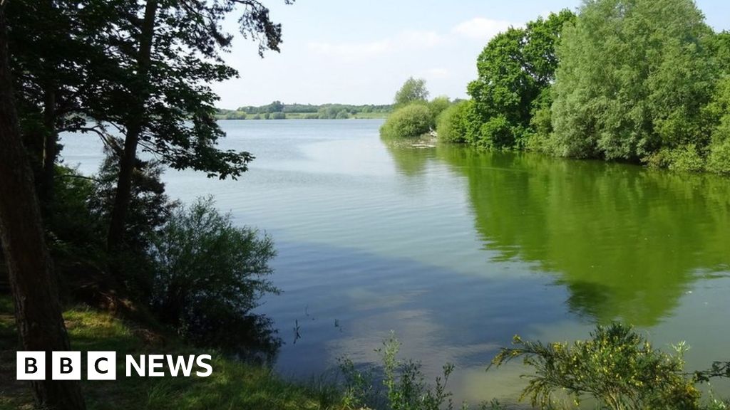 Alton Water Watersports restart after algae recedes BBC News