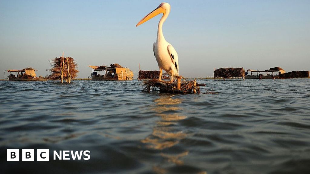 Floods in Pakistan: Officials struggle to stop the biggest lake from flowing