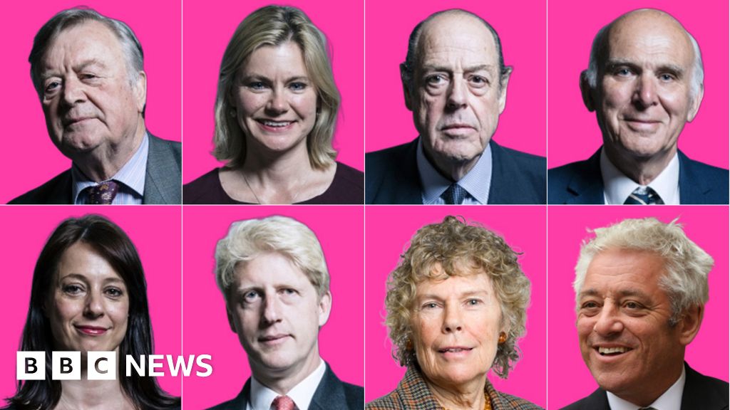 Which MPs are standing down at the election? BBC News