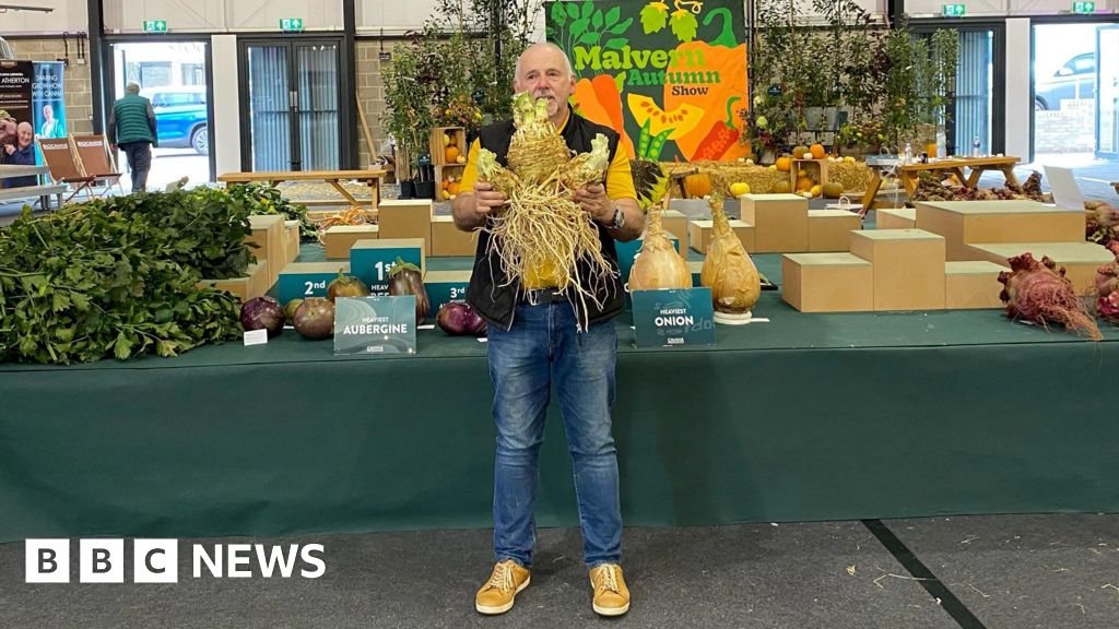 Gloucester gardener grows world record breaking celeriac