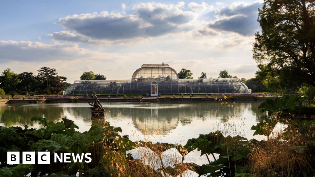 Kew gardens tour gives window into Palm House plants’ past