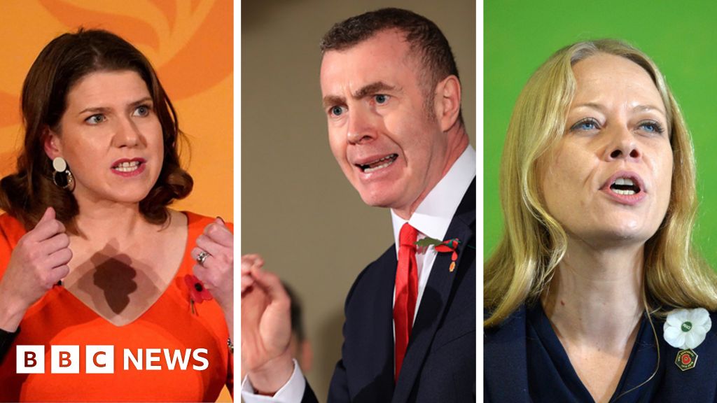 General Election Plaid Lib Dems And Greens In Pro Eu Pact In Welsh